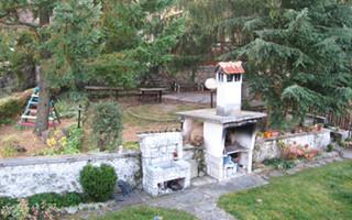 View from the room to the summer garden