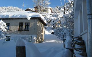 View from the room to the back of the house